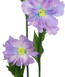 7951 FLEUR GEANTE FLEURFANTASTIQUE 3P